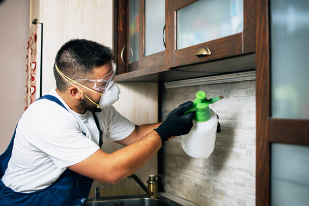 Best Pest Inspection Near Me  in Concord, AL