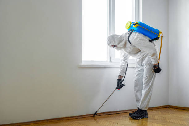 Best Mosquito Control Services  in Concord, AL