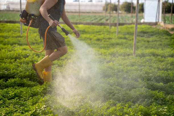 Best Best Pest Control Companies  in Concord, AL