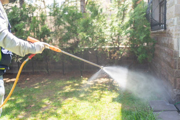 Best Local Pest Control Services  in Concord, AL