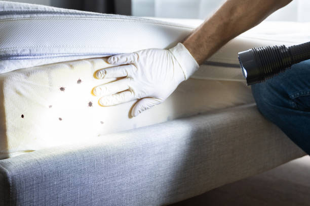Pest Control for Restaurants in Concord, AL