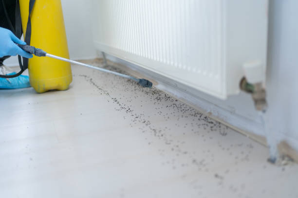 Best Emergency Pest Control  in Concord, AL