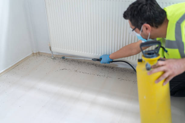 Best Termite Control Services  in Concord, AL
