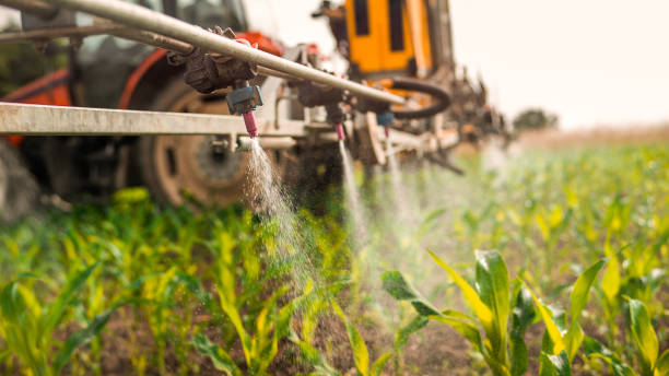 Best Commercial Pest Control Services  in Concord, AL